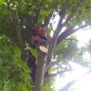 Meet your Posher, Jeffrey